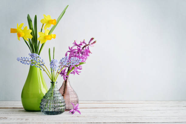 narcisi di fiori primaverili, giacinto e muscari - hyacinth flower vase daffodil foto e immagini stock