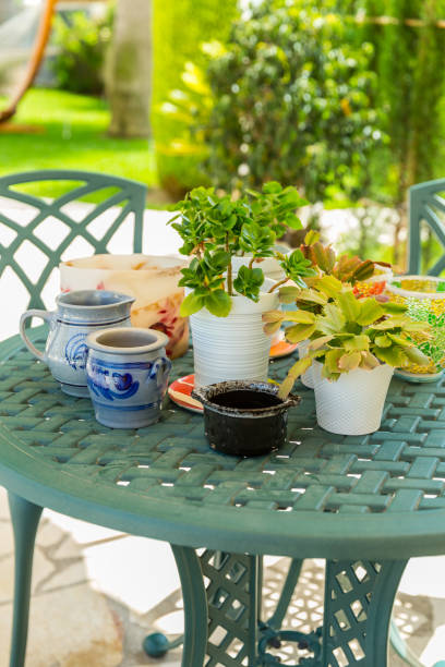istock Outdoor patio with plants and pots 843371112