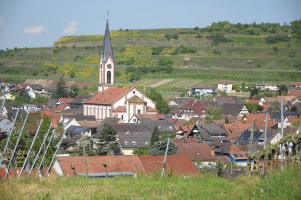 istock Ihringen at Kaiserstuhl, Germany 843372630