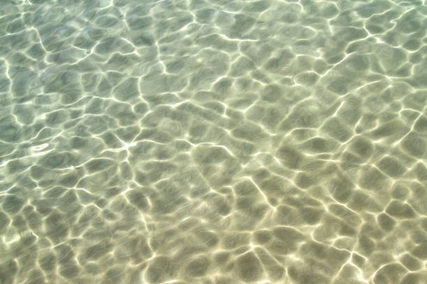 istock Clear sea water. Summer vacation and tropical resort concept image. 843375492