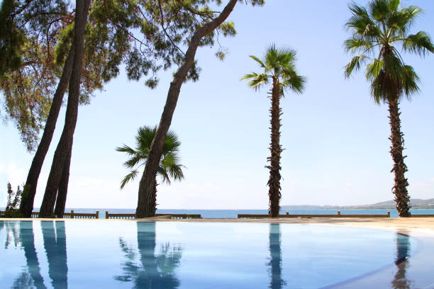 istock Reflections of trees on pool water . Summer vacations concept image. 843376342