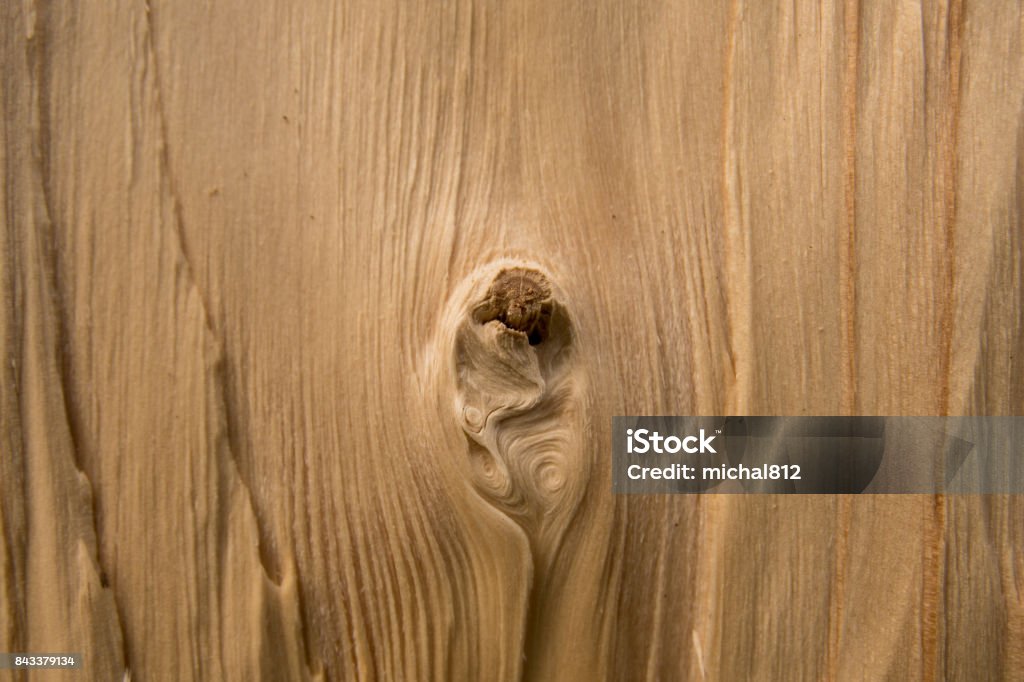 Pine Tree Struct Pine Tree Wood Structure With Knots Stock Photo - Download Image Now ...