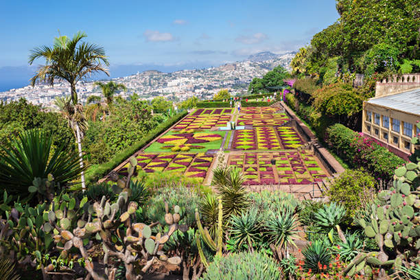 植物園マデイラ - monte palace ストックフォトと画像