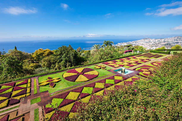 植物園マデイラ - monte palace ストックフォトと画像