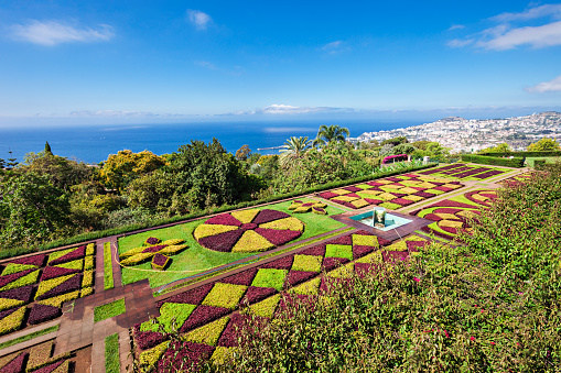 FUNCHAL, MADEIRA - JuLY 09: Botanical Gardens Madeira on July 09, 2014 in Madeira, Portugal.