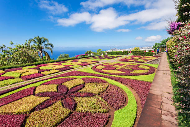 植物園マデイラ - monte palace ストックフォトと画像