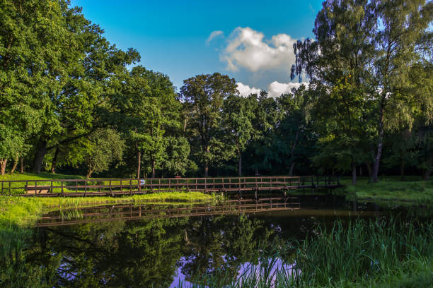 istock Pond lit by the sun 843389560