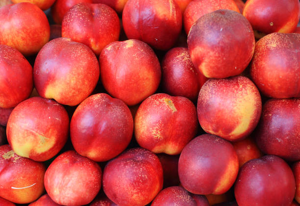 transparent plastic containers containing peaches