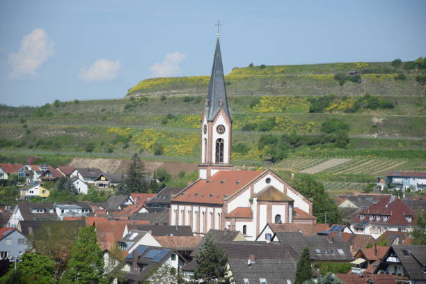 istock Ihringen at Kaiserstuhl, Germany 843393572