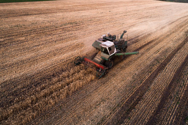 istock Harvester working in field and mows wheat. Ukraine. Aerial view. 843401346