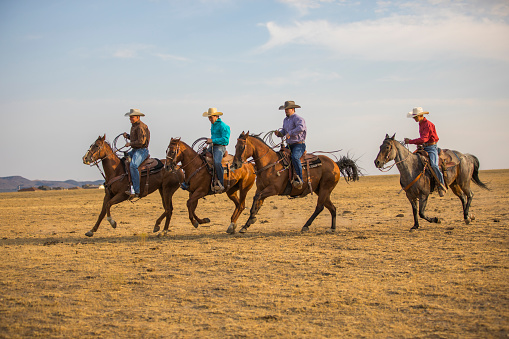 Cowboys riding on the open range.