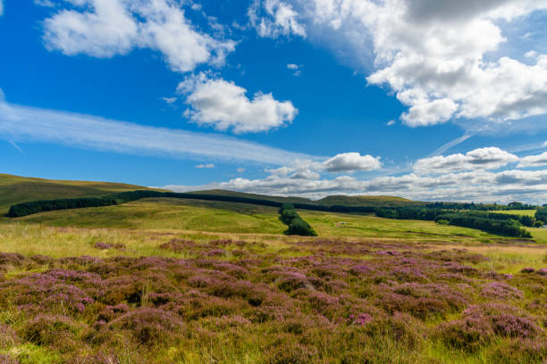 istock View of Cairngorms National Park 843408034