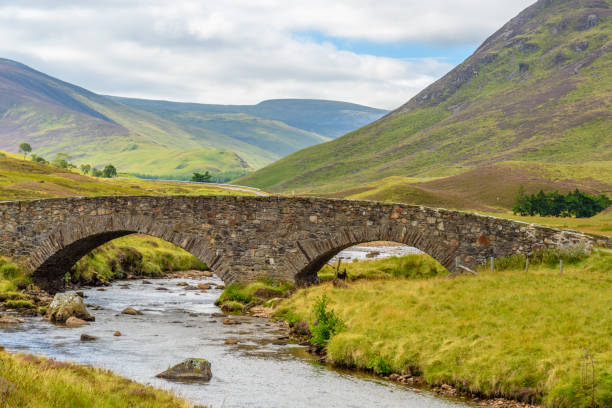 istock Scottish countryside in summer 843408428