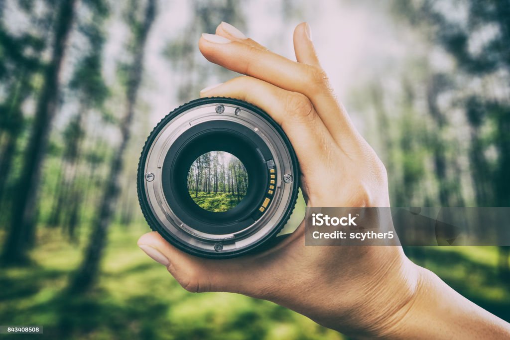Photography camera lens concept. photography view camera photographer lens forest trees lense through video photo digital glass hand blurred focus people concept - stock image Image Focus Technique Stock Photo