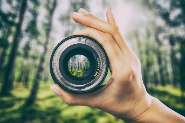 Photography camera lens concept. photography view camera photographer lens forest trees lense through video photo digital glass hand blurred focus people concept - stock image video still photos stock pictures, royalty-free photos & images