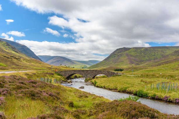 Scottish countryside in summer View of the beautiful nature of the Cairngorms National Park in Scotland in summer. cairngorm mountains stock pictures, royalty-free photos & images