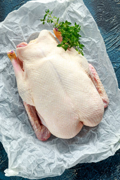 istock Free range duck ready to cook with pepper and thyme on baking paper 843411126