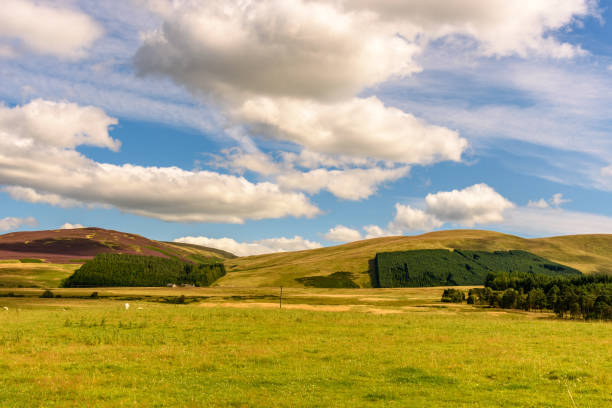 istock View of Cairngorms National Park 843411256