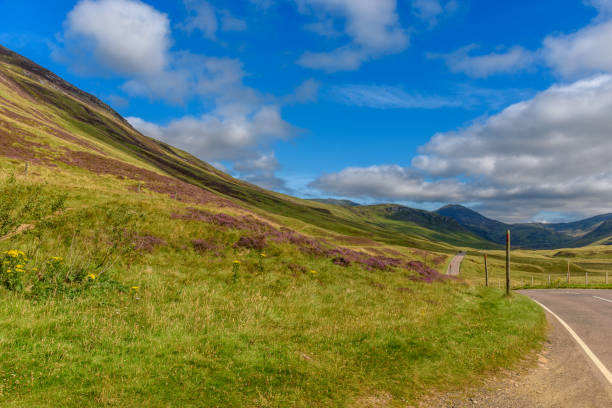 istock Scottish countryside in summer 843411302