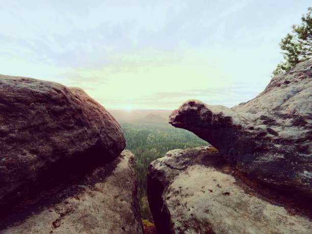 istock Morning view over crack sandstone edge into forest valley, daybreak Sun at horizon. 843414614