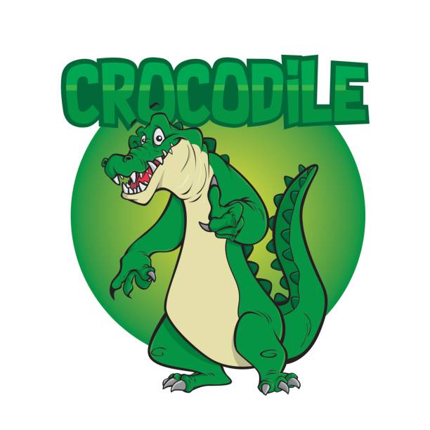 illustrations, cliparts, dessins animés et icônes de illustration du caractère crocodile - alligator white background crocodile reptile