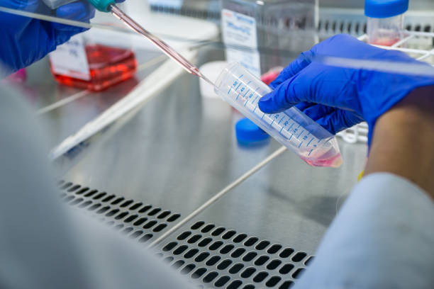 istock Researcher at laboratory work. Fluid extraction for cell splitting to create a cell pellet. 843420748