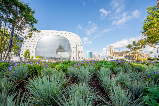 istock Rotterdam city in Netherlands 843420854