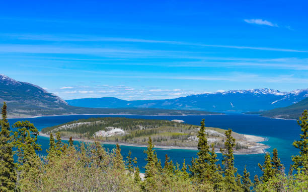 istock Bove Island in Tagish Lake 843425368