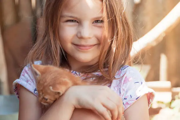 Little girl with a red kitten in hands close up.  Bestfriends. Interaction of children with pets.