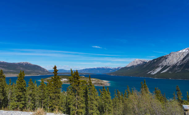 istock Bove Island in Tagish Lake 843427750