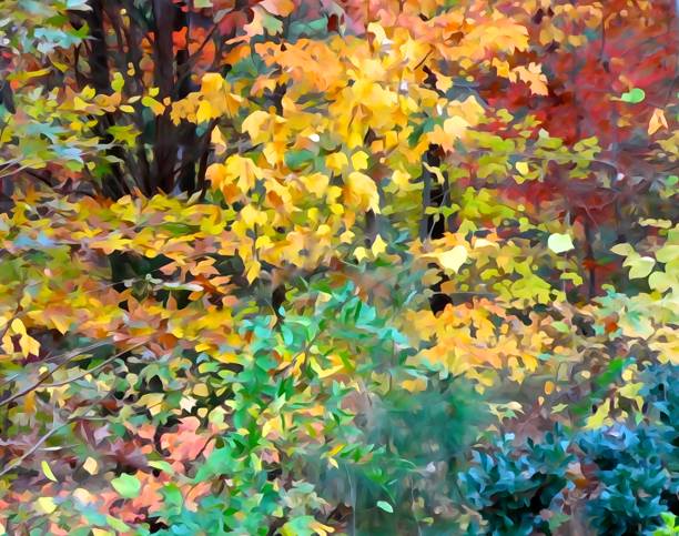 istock Fall's riot of color 843427784