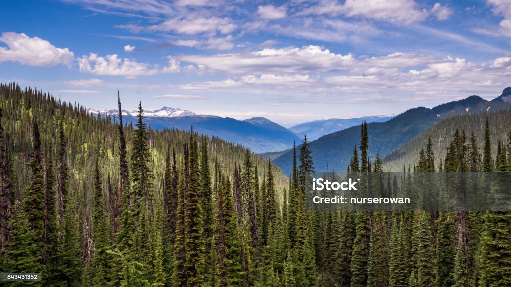 Meadows In The Sky View of trees and mountains from a hiking trail in Mount Revelstoke National Park, BC, Canada British Columbia Stock Photo