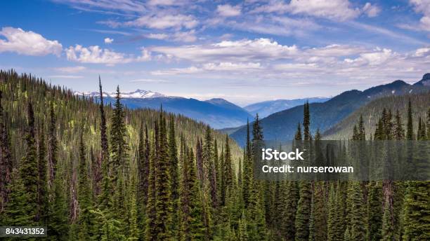 Meadows In The Sky Stock Photo - Download Image Now - British Columbia, BC, Revelstoke