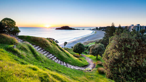 мауао санрайз - new zealand forest landscape mountain стоковые фото и изображения