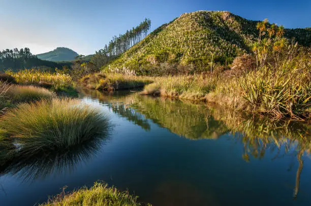 Landscape photo of Tairua River, Coromandel Peninsula, New Zealand