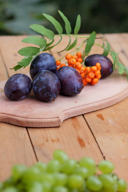 istock Blue plums and mountain ash on a wooden background for the designer 843435594