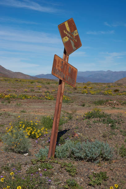 istock Old railway sign in the Atacama Desert 843435694
