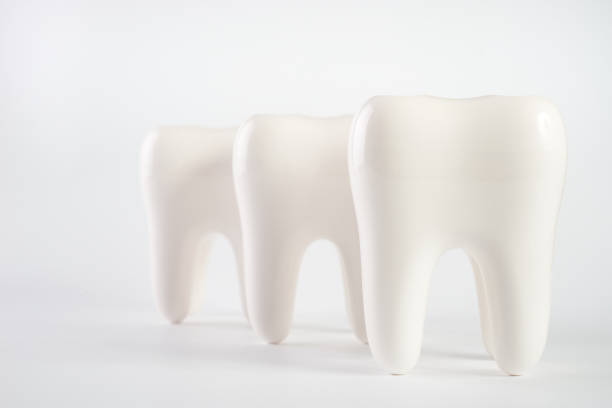 istock White healthy human teeth implant model 843438070