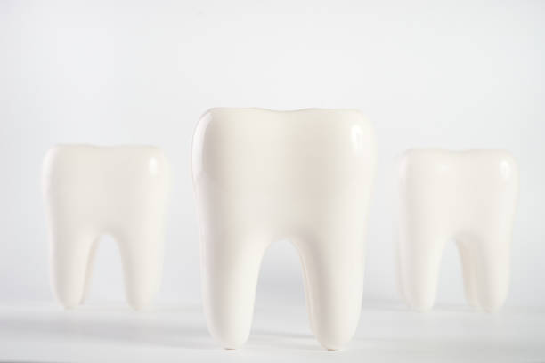 istock White healthy human teeth implant model 843441088
