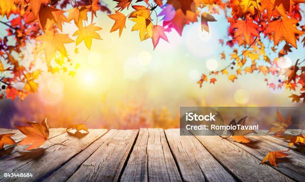 Wooden Table With Orange Leaves And Blurred Autumn Background Stock Photo - Download Image Now
