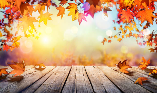 用橙色樹葉和模糊的秋天背景木桌 - 秋天 圖片 個照片及圖片檔