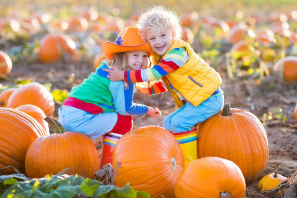 istock Kids picking pumpkins on Halloween pumpkin patch 843452986