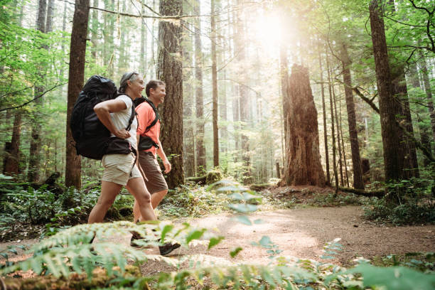 istock Mature Couple Backpacking in Forest 843466292