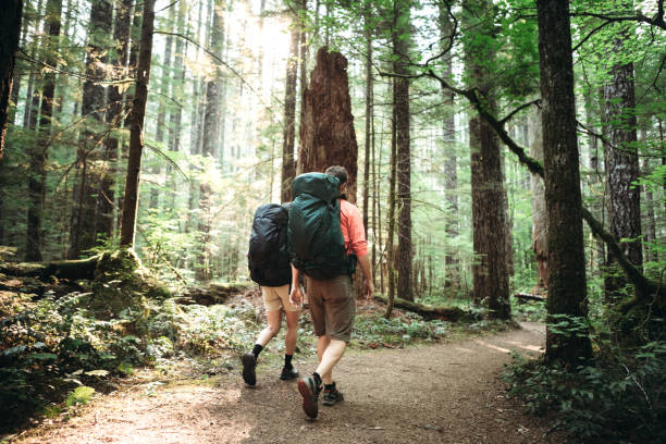 istock Mature Couple Backpacking in Forest 843466406