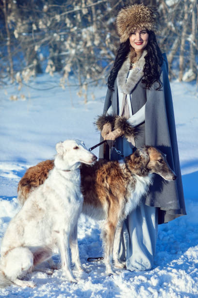istock A girl with greyhounds on the snow 843476682