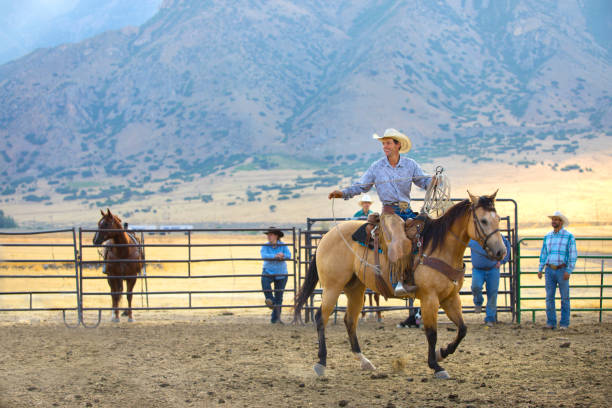 istock A Cowboy on his Horse in a Corral 843476794