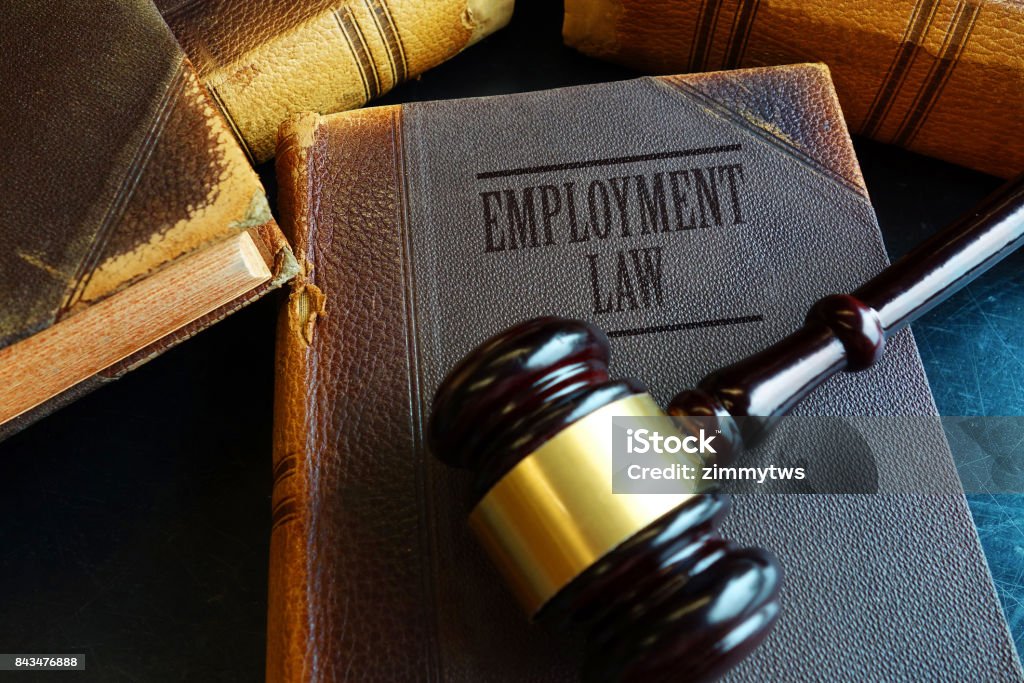 Employment Law book Employment Law book with legal gavel Employment And Labor Stock Photo