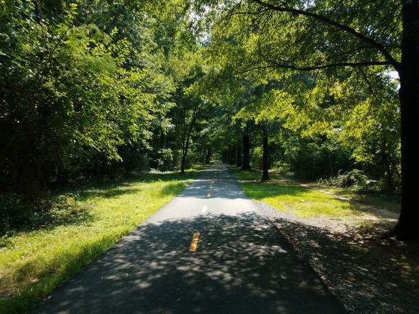 istock bike and walking trail and trees 843483906