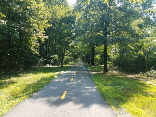 istock bike and walking trail and trees 843483918