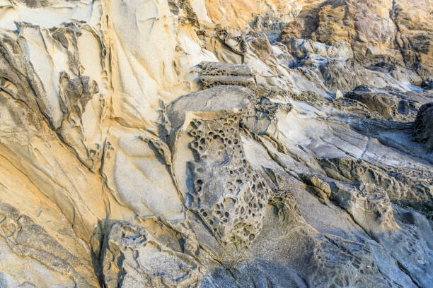 Tafoni Rock Formations in Coastal California. Bean Hollow State Beach, Pescadero, San Mateo County, California, USA. bean hollow beach stock pictures, royalty-free photos & images